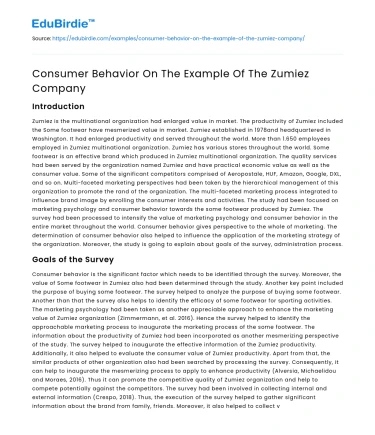 Consumer Behavior: A Case Study of Zumiez