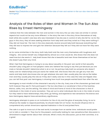 Gender roles in The Sun Also Rises by Hemingway