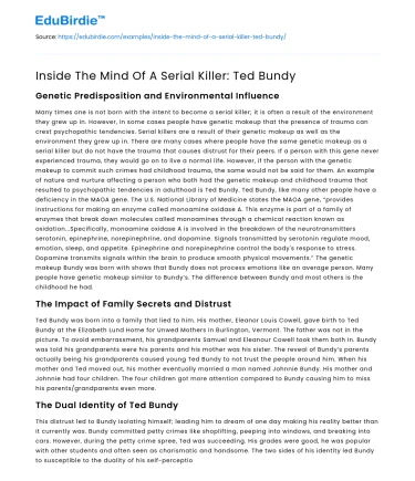 Inside The Mind Of A Serial Killer: Ted Bundy