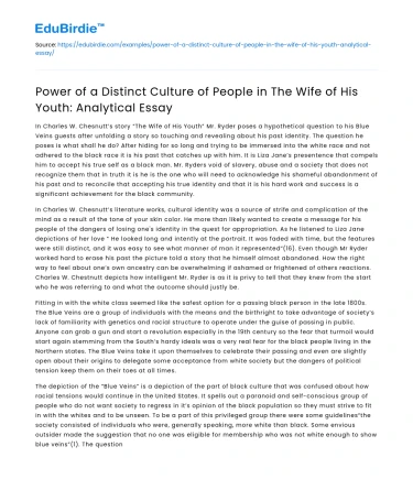 Cultural Power in “The Wife of His Youth”: Analysis