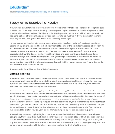 Essay on Is Baseball a Hobby