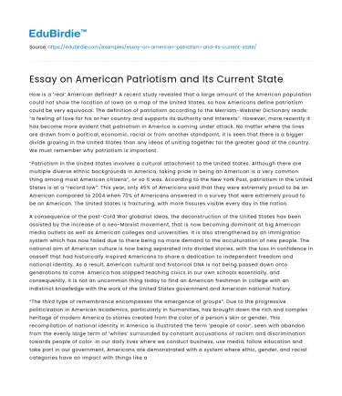 Essay on American Patriotism and Its Current State