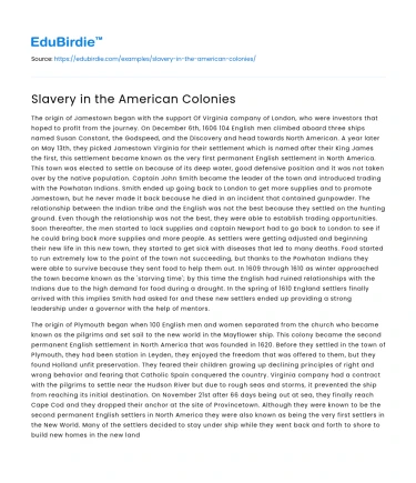 Slavery in the American Colonies