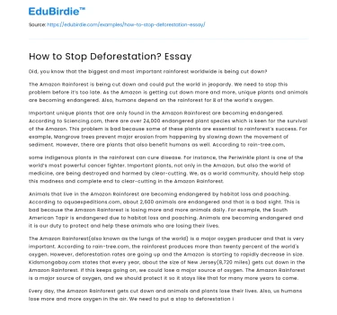 How to Stop Deforestation? Essay