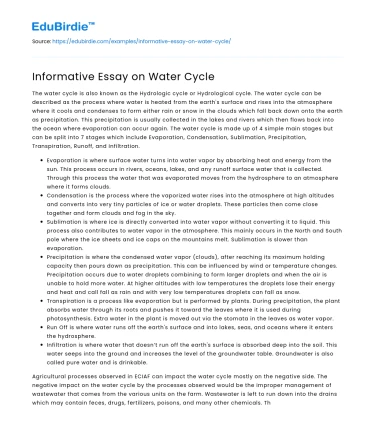 Informative Essay on Water Cycle