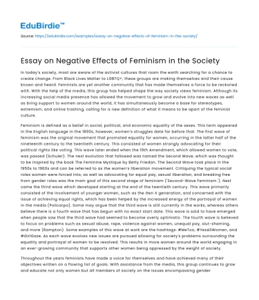 Essay on Negative Effects of Feminism in the Society