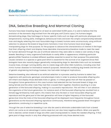 DNA, Selective Breeding And Mammal Cloning
