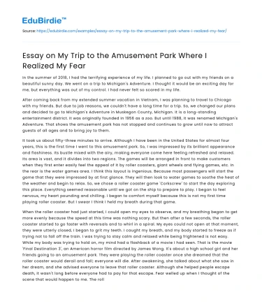 Essay on My Trip to the Amusement Park Where I Realized My Fear