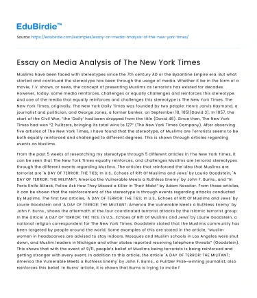 Essay on Media Analysis of The New York Times