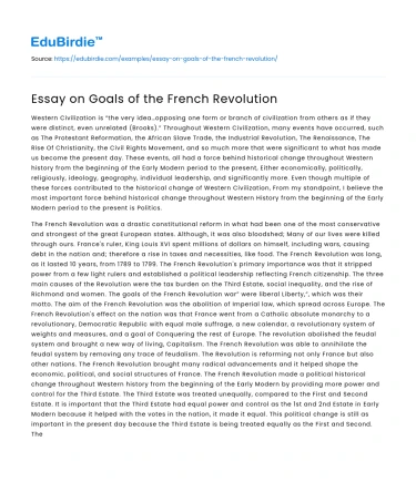 Essay on Goals of the French Revolution