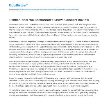 Catfish and the Bottlemen’s Show: Concert Review