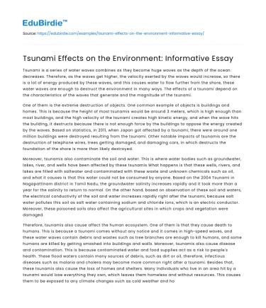 Tsunami Effects on the Environment: Informative Essay