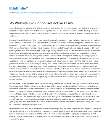 My Website Evaluation: Reflective Essay