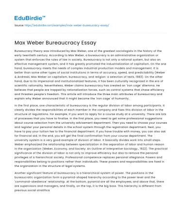 Max Weber Bureaucracy Essay