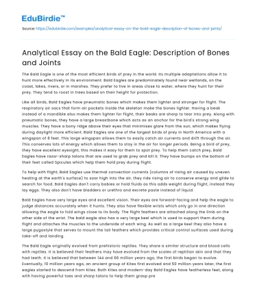 Analytical Essay on the Bald Eagle: Description of Bones and Joints