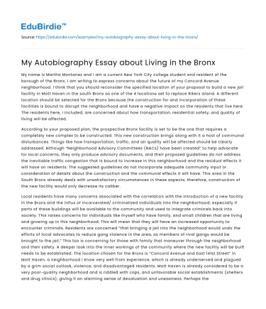 My Autobiography Essay about Living in the Bronx
