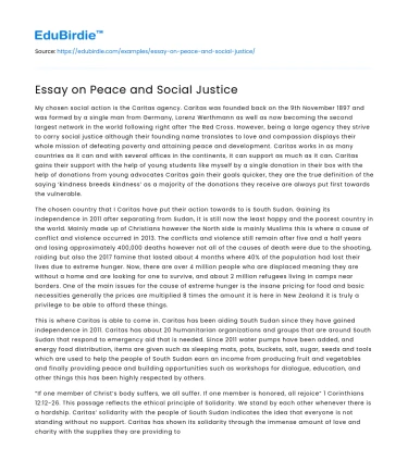 Essay on Peace and Social Justice