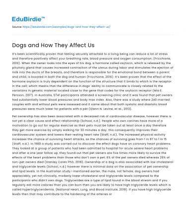 Dogs and How They Affect Us