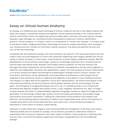 Essay on Virtual Human Anatomy