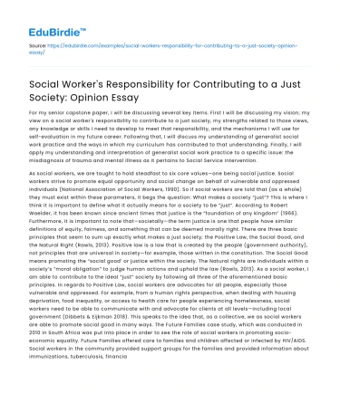 Social Worker’s Role in a Just Society