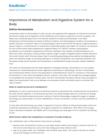Vital Role of Metabolism and Digestion
