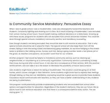 Is Community Service Mandatory: Persuasive Essay