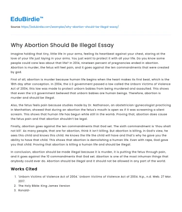 Why Abortion Should Be Illegal Essay