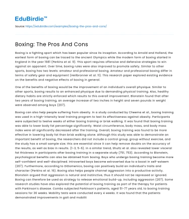 Boxing: The Pros And Cons