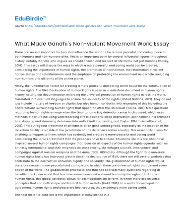 What Made Gandhi’s Non-violent Movement Work: Essay