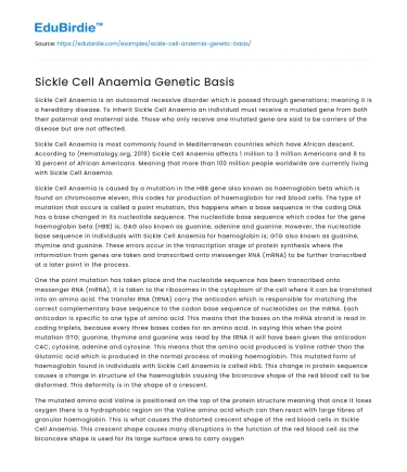 Sickle Cell Anaemia Genetic Basis