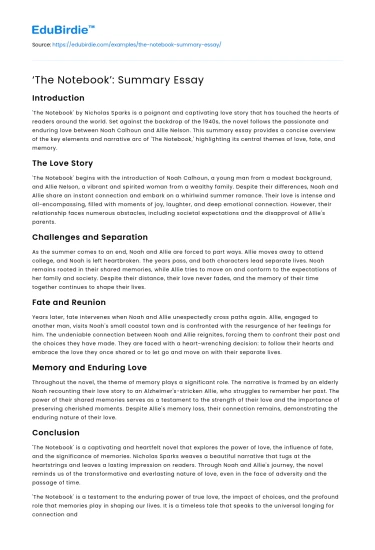 ‘The Notebook’: Summary Essay