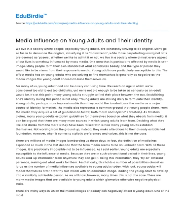 Media Influence on Young Adults and Their Identity