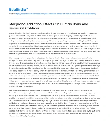 Marijuana Addiction: Effects On Human Brain And Financial Problems