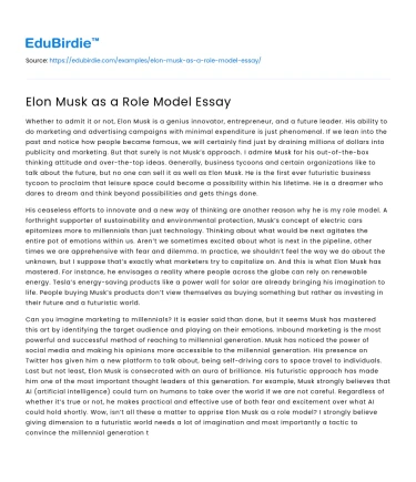 Elon Musk as a Role Model Essay