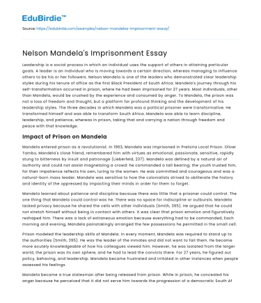 Nelson Mandela’s Imprisonment Essay