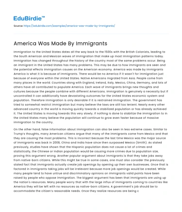 America Was Made By Immigrants