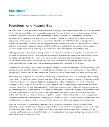 The Role of Petroleum and Natural Gas in Modern Energy Systems