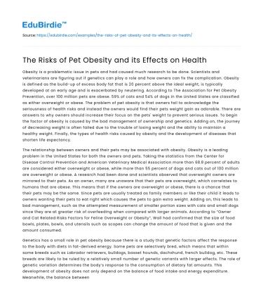 The Risks of Pet Obesity and its Effects on Health