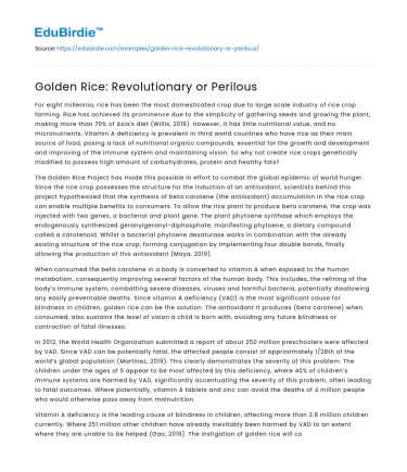 Golden Rice: Revolutionary or Perilous