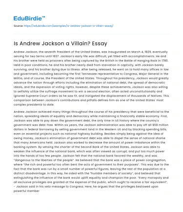 Is Andrew Jackson a Villain? Essay