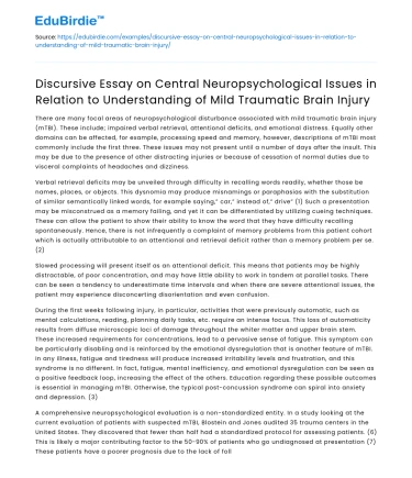 Neuropsychological Issues in Understanding Mild Traumatic Brain Injury