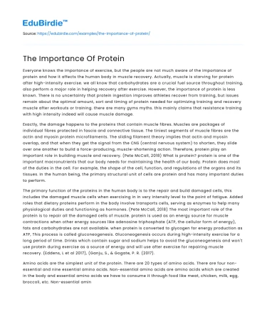 The Importance Of Protein