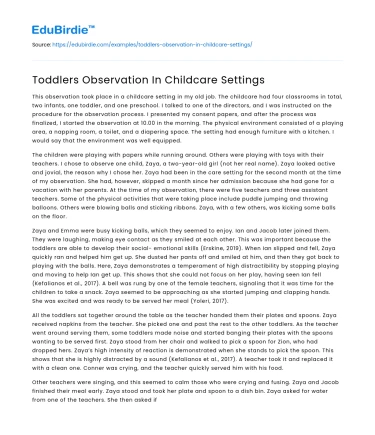 Toddlers Observation In Childcare Settings