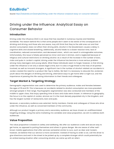 Driving under the Influence: Analytical Essay on Consumer Behavior