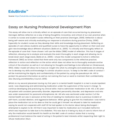 Essay on Nursing Professional Development Plan