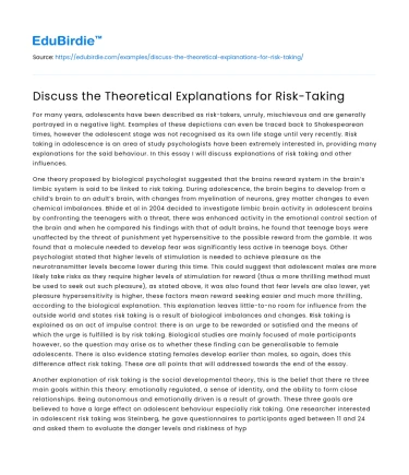 Discuss the Theoretical Explanations for Risk-Taking
