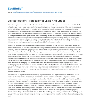Self Reflection: Professional Skills And Ethics