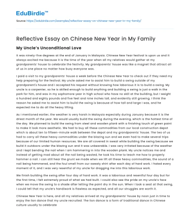 Reflective Essay on Chinese New Year in My Family