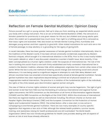 Reflection on Female Genital Mutilation: Opinion Essay