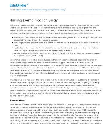 Nursing Exemplification Essay